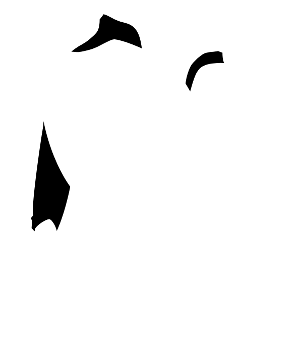 Main Suit