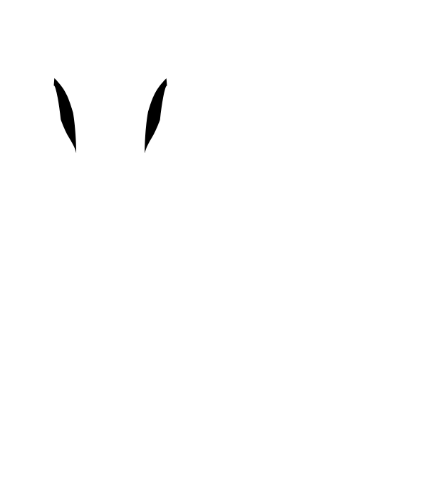 Main Suit