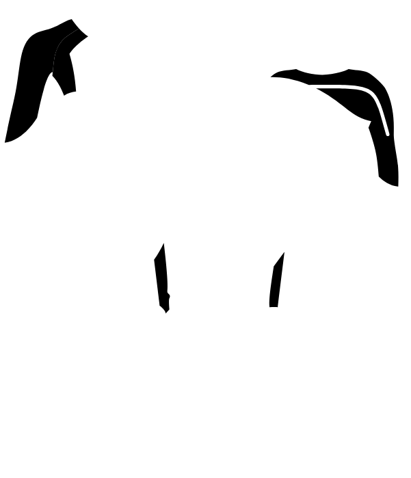 Main Suit