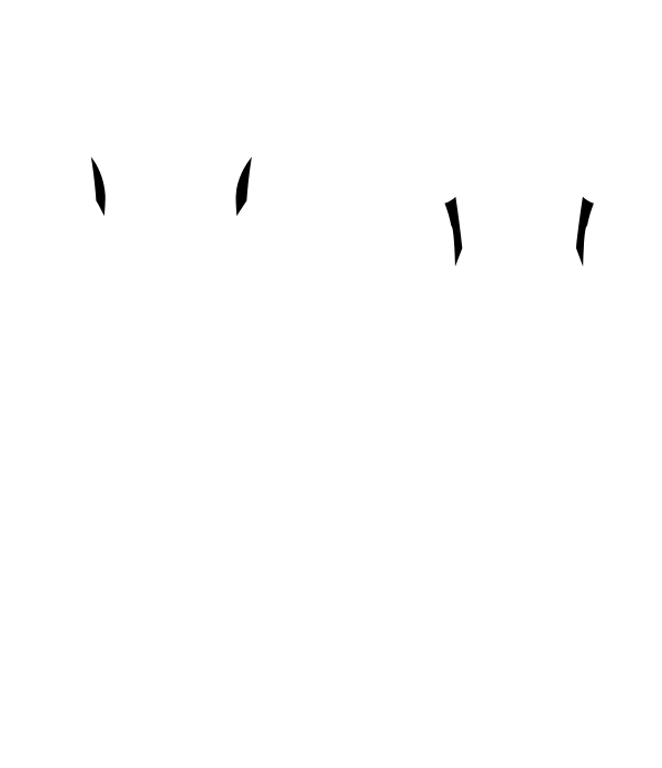 Main Suit