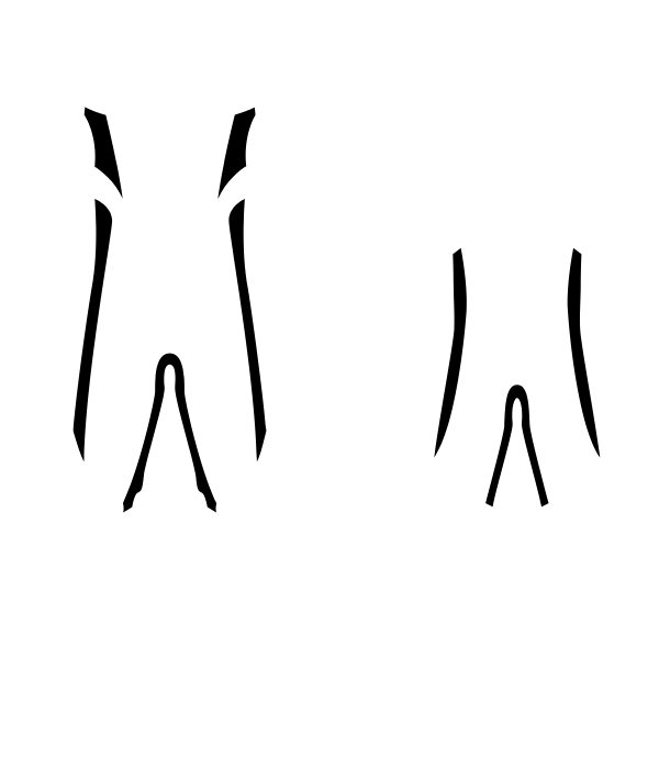 Main Suit