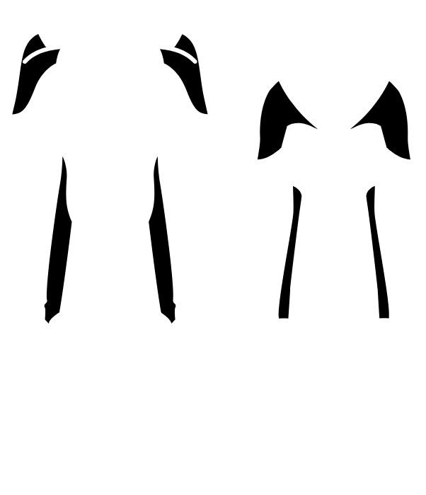Main Suit